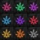 Maryjane Neon Sign