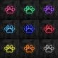 Paw Print Neon Sign