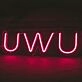 uwu Neon Sign