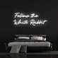 Follow The White Rabbit Neon Sign