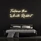 Follow The White Rabbit Neon Sign