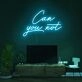 Can You Not Neon Sign