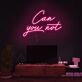 Can You Not Neon Sign