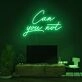 Can You Not Neon Sign