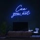 Can You Not Neon Sign