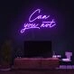 Can You Not Neon Sign