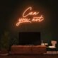 Can You Not Neon Sign