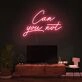 Can You Not Neon Sign