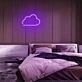 Mini Cloud Neon Sign