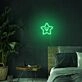 Mini Smile Star Neon Sign