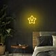 Mini Smile Star Neon Sign