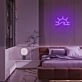Mini Sunshine Sea Neon Sign