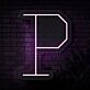 Personalized Initial Letter P Neon Sign MNC41535