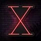 Personalized Initial Letter X Neon Sign MNC41543