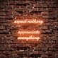 Expect Nothing Appreciate Everything Neon Sign