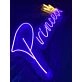 Princess Neon Sign