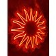 Sun Neon Sign