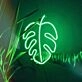 Monstera Leaf – Led Neon Sign