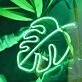 Monstera Leaf – Led Neon Sign