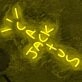 Cactus Jack Neon Sign