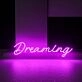 Dreaming Neon Sign