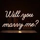Will You Marry Me – Led Neon Sign
