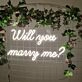 Will You Marry Me – Led Neon Sign
