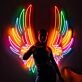 Colourful Wings Neon Sign