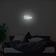 Love Neon Sign