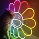 Flower of Takashi Murakami – Led Neon Sign