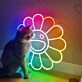 Flower of Takashi Murakami – Led Neon Sign