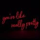 Youre Like Really Pretty Neon Sign