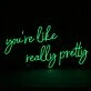 Youre Like Really Pretty Neon Sign