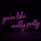 Youre Like Really Pretty Neon Sign