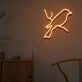 Fantail Neon Sign Lights Night Lamp Led Neon Sign Light For Home Party