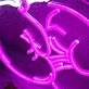 Boxing Sleeve Neon Sign