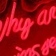 Why Are We Not Having Sex Right Now Neon Sign
