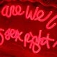 Why Are We Not Having Sex Right Now Neon Sign