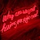 Why Are We Not Having Sex Right Now Neon Sign