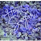 Hey Sugar Neon Sign Sweeten Up Your Space with Retro Charm