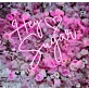 Hey Sugar Neon Sign Sweeten Up Your Space with Retro Charm