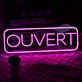 Ouvert Neon Sign