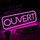 Ouvert Neon Sign