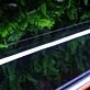 Double Rectangles Neon Sign
