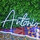 Antnio Neon Sign