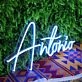 Antnio Neon Sign