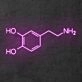 Dopamine' Neon Sign