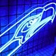 Seattle Seahawks Neon Sign