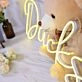 Ducks Neon Sign