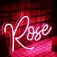 Rose Neon Sign